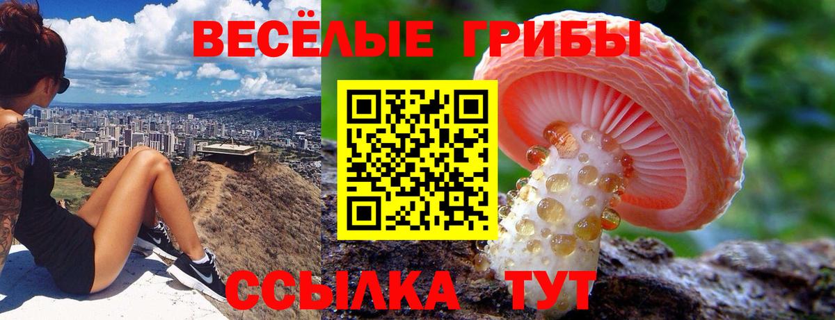 Галлюциногенные грибы ЛСД  Вход с VPN  Балашов 